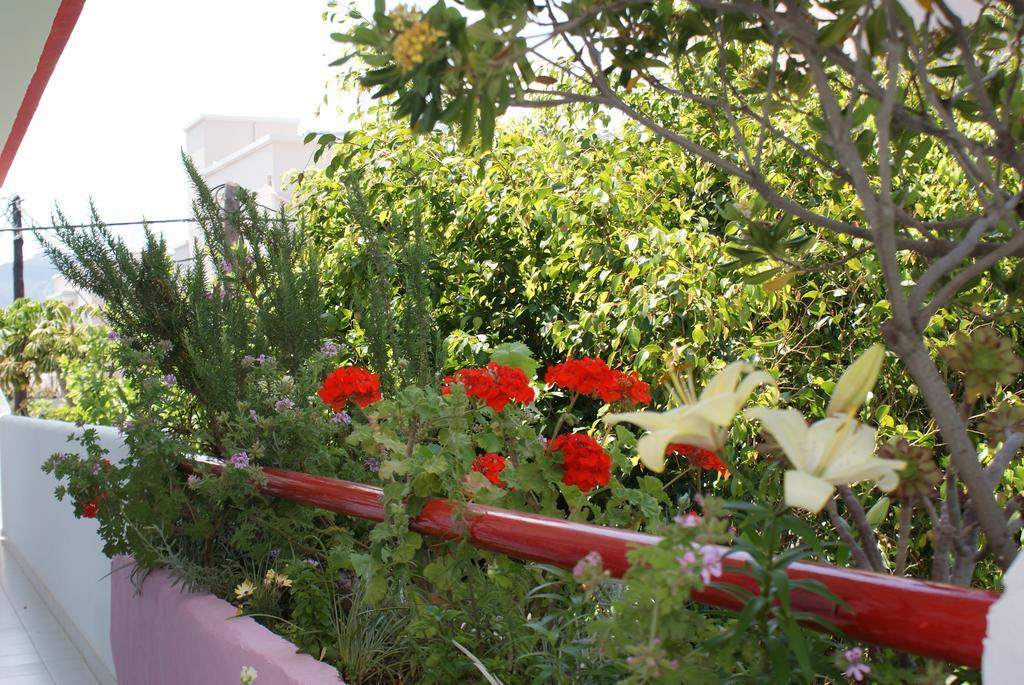 Stam & John Apartments Kos Exterior foto